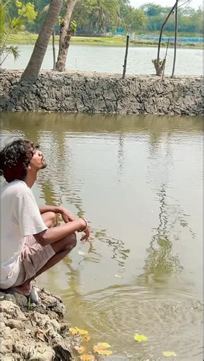 Video Triệu View Thỏa Mãn Người Xem | Best Videos Oddly Satisfying (P484)#Shorts #park #vlog