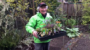 Ciscoe Morris teaches us to grow our own veggie garden