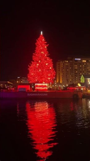 [Hakodate] HAKODATE Christmas Fantasy 2025 #Hakodate #HokkaidoTrip #HakodateTrip #hakodate