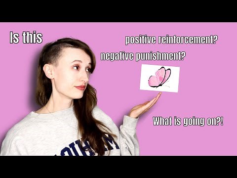 Positive and Negative / Reinforcement and Punishment - With Practice Questions!