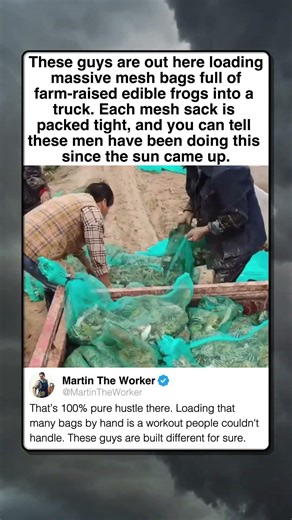 RURAL HUSTLE LOADING THE FROG TRUCK