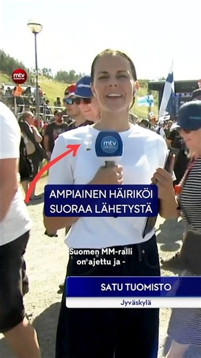 Ampiainen häiriköi suoraa lähetystä 🐝