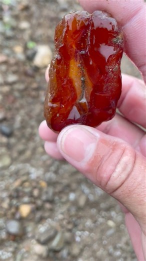 16K views · 26K reactions | Found a juicy carnelian poking out of a gravel bar in Lewis County! ☺️ #carnelian #agate #rockhound #rockhounding #washington #river #find | Chris Sims | Facebook