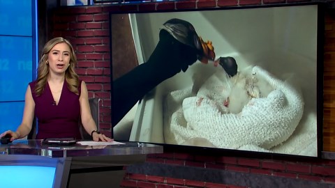 Why a New York zoo is feeding a baby vulture with a hand puppet