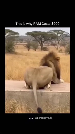 perceptive on Instagram: "This is why RAM costs $900. Al systems don’t just run once - they train, repeat, and scale endlessly. Massive data centers are consuming enormous amounts of high-bandwidth memory to power models, simulations, and generative content that looks indistinguishable from reality. Chipmakers prioritize this ultra-profitable Al memory, leaving less supply for consumers. The result? Shortages, higher demand, and prices that feel completely detached from normal hardware logic. Al