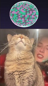 i want to squeeze her! cat! | #cheervinsky on #Twitch