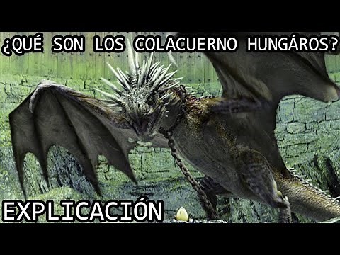¿Qué son los Colacuerno Húngaros? | La Historia de los Hungarian Horntails de Harry Potter Explicada