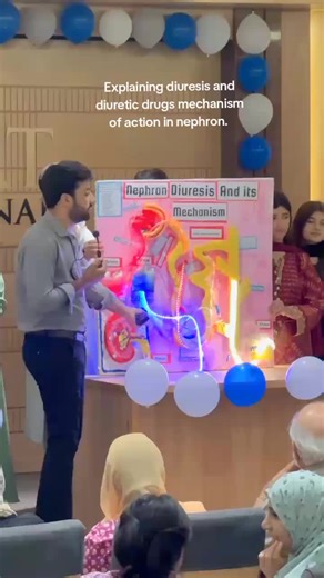 explaining diuresis and diuretic drugs mechanism of action in nephron. . . . . . #pharmacist #islamabad #univeraitylife #presentation . . . . .