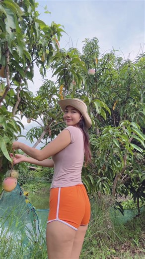 Discover the Delicious Apple Mango Fruit