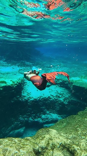 Happy sunday ya’ll, forever young is how I wanna be… at least inside 🤗🧜🏽‍♂️🌊🫧 #thetravelingmerman #mermanswimmingtail #themerbaby #brizoazariel #brizoazarielthemerbaby #sirenoboy #elsirenito #sereionadando #underwatermerman #underwatermermaids #foreverandeveryoung #mermaidmagicswim