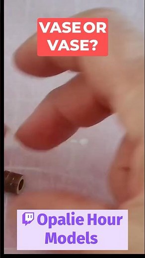 🪴😁Vase or Vase? The Great Debate!