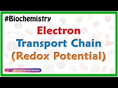 REDOX POTENTIAL OF COMMON REDOX COUPLES - #Usmle Electron Transport Chain