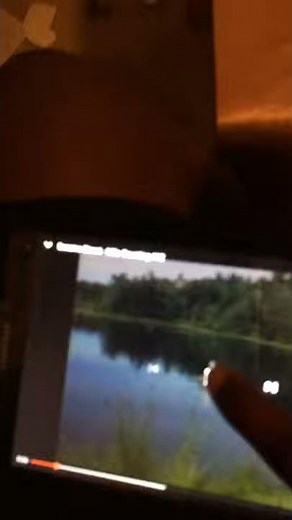 Sesame Street Milo Counting #1