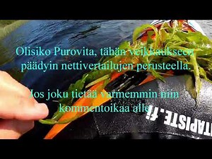 Kiimajärvellä Sastamalassa 15.7. -23