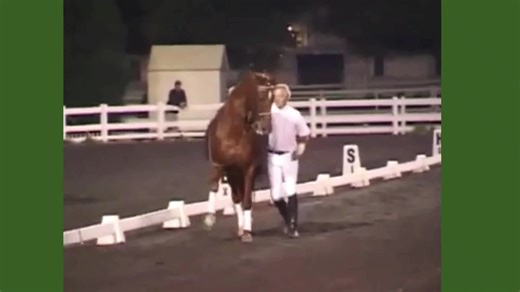 “The Language of Gestures in Horsemanship | Science of Motion” horse wisdom, poetic horsemanship, silent language, horse gestures, equine poetry, healing motion, Jean Luc Cornille, Science of Motion, horse and rider harmony, equine connection | Science Of Motion