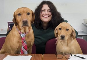 Dogs interview hopeful vet students at this university