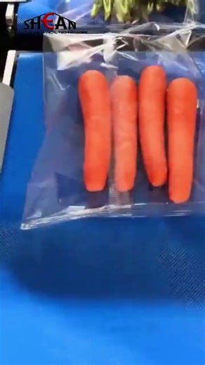 Pillow Packing Machine