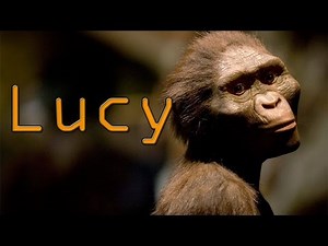 ⏱️ Lucy | En 1 minuto