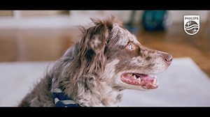 Philips PowerPro Max’in üstün yetenekleri sayesinde kazanacağınız zamanı kendiniz için kullanın! | Philips