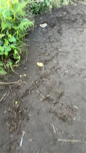 Golden sunrise bromo 1 Juli 🥹🥹 Terharu sama pemandangannya .. #bromo #tripbromo #tourbromo