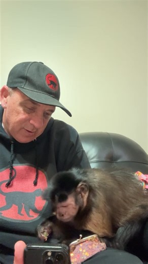 Monkey Sunday | MonkeyBoo