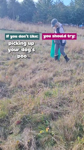 The folks in this reel are part of our local Volunteer Community Poo Picking group…. doing their bit to keep the Lagoons clean… with one thought in mind - pick up your dog’s poop, please! | East Coast Dog Training