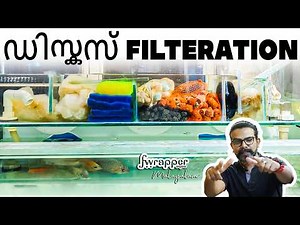 Setting Up a Discus Fish Tank with Top Sump Filtration: A Complete Guide in MALAYALAM