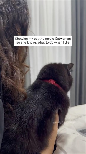 Making sure she knows her potential #reels #cat #funny #viral #trending #catwoman #fyp #viralnow