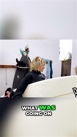 SEAL Attacks Surfers! Did not see that coming 🦭 🏄‍♂️ #sailingfamily