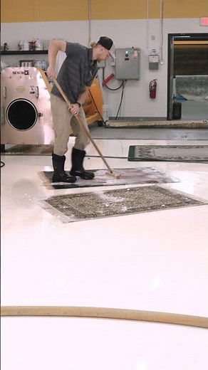 Stanley Steemer Area Rug Cleaning