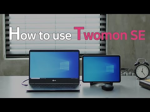 How to use Twomon SE