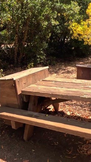 Juniper Campground – Site 30 | Mt. Diablo, CA | Quick Campsite View