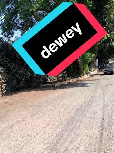 Exploring Dewey: Fun and Engaging Insights