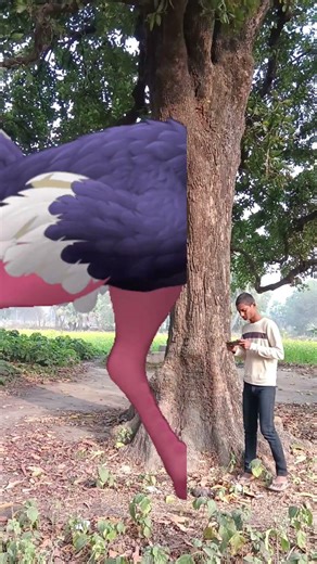 🇮🇳🥲 Love you india tere mitti me mil #youtubeshorts #youtubevideo #terending w