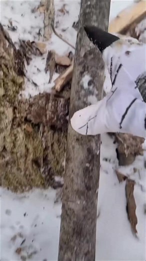 1.2K views · 22 reactions | Split logs with a multi-tool saw 蝹 #bushcraft #outdoors #survival #camping #survivalhacks | Survival Life | Facebook