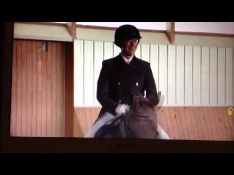 Stephen Colbert on Dressage