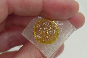 Cell and Tissue Engineering