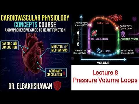 Cardiovascular physiology lecture 8.1: Pressure Volume loops part 1 - normal physiology