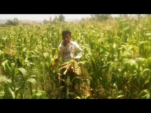 Abi Channel(ቻናል) is live ከም ምውት ምንባር ማለት እንታይ እዩ