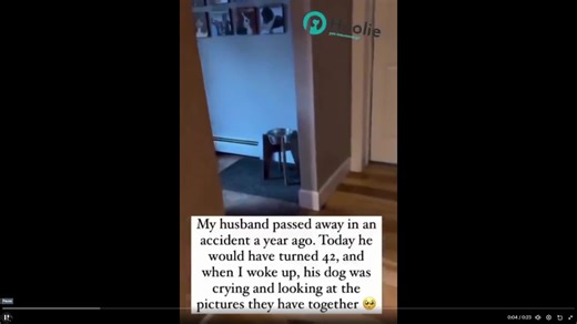 One of the saddest videos l've ever seen. - Fast 23 secs. Dog crying for the dead