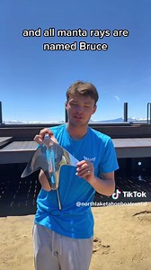 North Lake Tahoe Boat Rental on TikTok