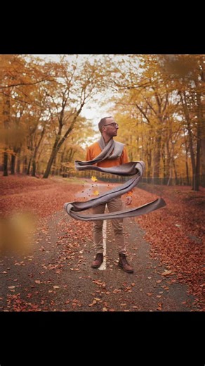 9.8K views · 303 reactions | I've always loved the song Closer to You by Brandi Carlile The lyrics "When the seasons change again I will too" always remind me that we're a lot like the trees, always growing and changing through the year. What's your favourite song? | Joel Robison Photography | Facebook