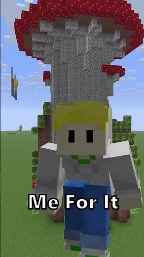 Is It Possible To Build With Only RANDOM Blocks In Minecraft?