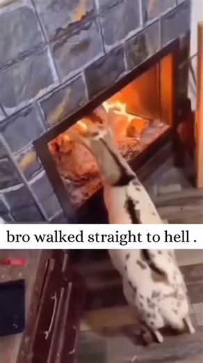 Janny on Instagram: "🕶️ I think I found a glitch in the matrix. 📵 I haven't opened Instagram in 3 days, but I just made $2k. 🤖 It’s not magic, it’s automation. 🛑 Stop working so hard. 🔄 Run theme pages on Auto-Pilot. Comment "Genius" to steal my strategy."