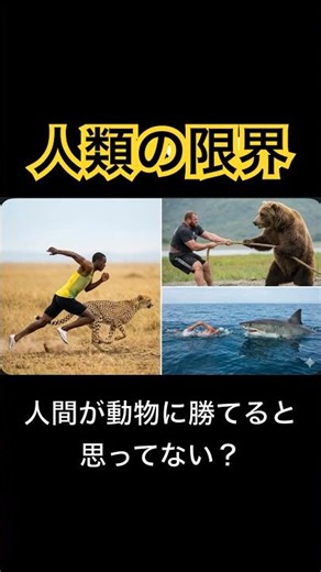 人間、弱すぎる。｜人類 vs 動物の現実#人間vs動物#最強生物#動物の真実#Shorts#雑学