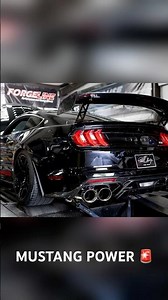 MUSTANG DYNO!! #entertainment #ford #fordmustang #dyno