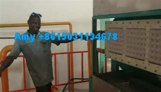 Automatic PLC Controlled Egg Tray Making Machine Motor Gearbox for Paper Egg Tray Production Line High Capacity 4000 PCS/hour