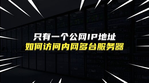 只有一个公网IP地址如何访问内网多台服务器