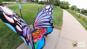 7.5K views · 53 reactions | The Papillion 150 butterfly benches have...