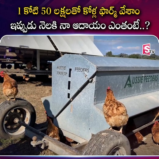 Indian Man Raised Poultry Farm in Australia | Henley Poultry Farm Australia | 1 కోటి 50 లక్షలతో కోళ్ల ఫార్మ్ వేశాం ఇప్పుడు నెలకి నా ఆదాయం ఎంతంటే..? #australia #PoultryFarming #Technology #Baptla #PoultryFarm #poultryfarmer #sumantvmoney | Sumantv Money
